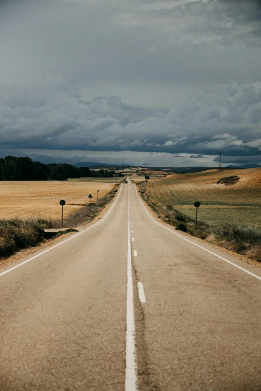 an empty road stretches into the distance on a cloudy day, by Daniel Seghers, 🚿🗝📝, in spain, cardboard, widescreen