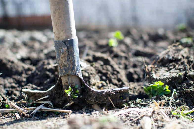 a shovel sitting on top of a pile of dirt, unsplash, figuration libre, background image, in the garden, round-cropped, profile pic