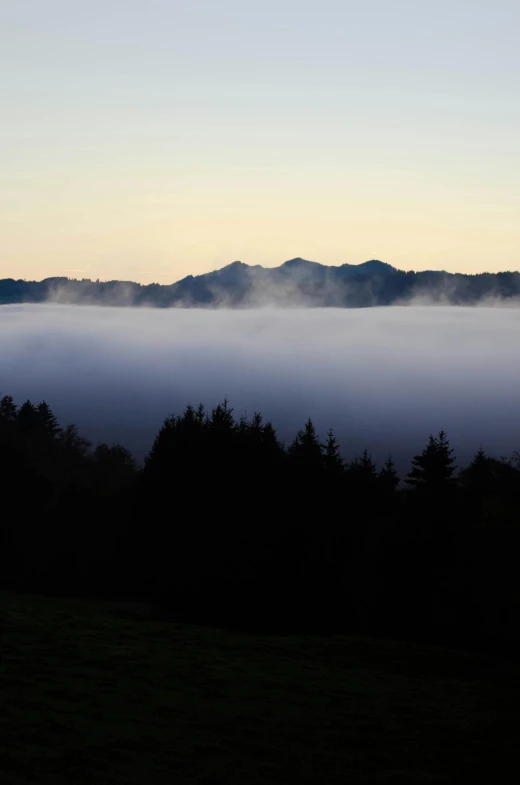 a person flying a kite on top of a lush green field, by Karl Stauffer-Bern, foggy at dawn, distant mountains, black forest, made of mist