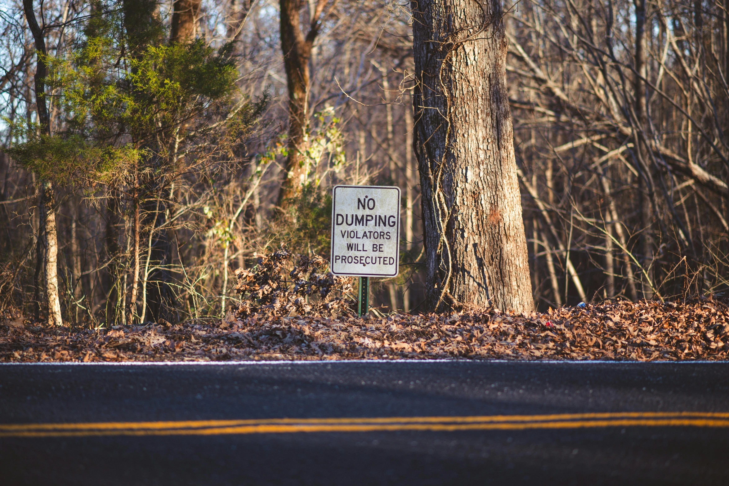 a no parking sign sitting on the side of a road, by Kristin Nelson, unsplash, burned forest, bumps, instagram picture, alabama