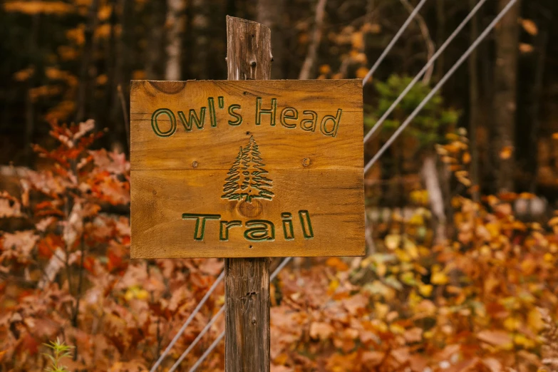 a wooden sign that says owl's head trail, pexels, 1 6 x 1 6, fall, slide show, mead