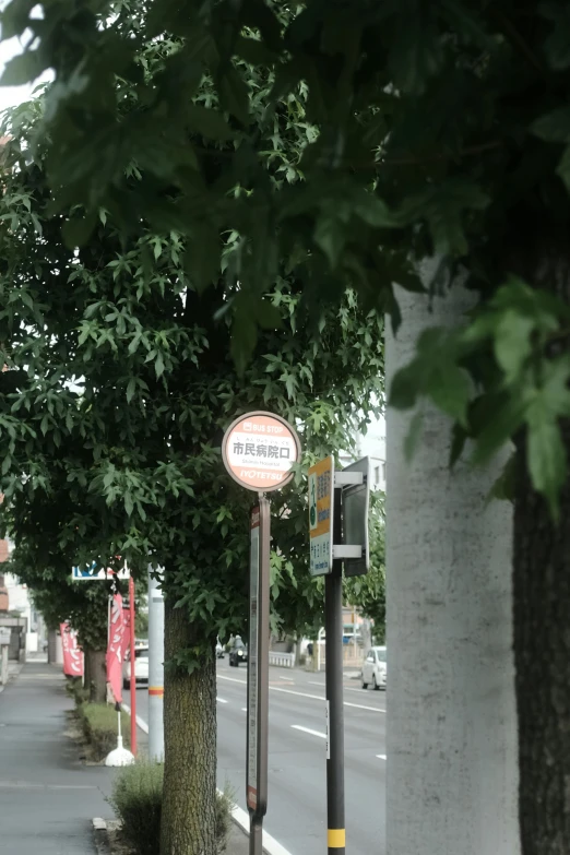 a red fire hydrant sitting on the side of a road, a poster, by Torii Kiyomoto, sōsaku hanga, low quality photo, central tree, bus stop, slight haze
