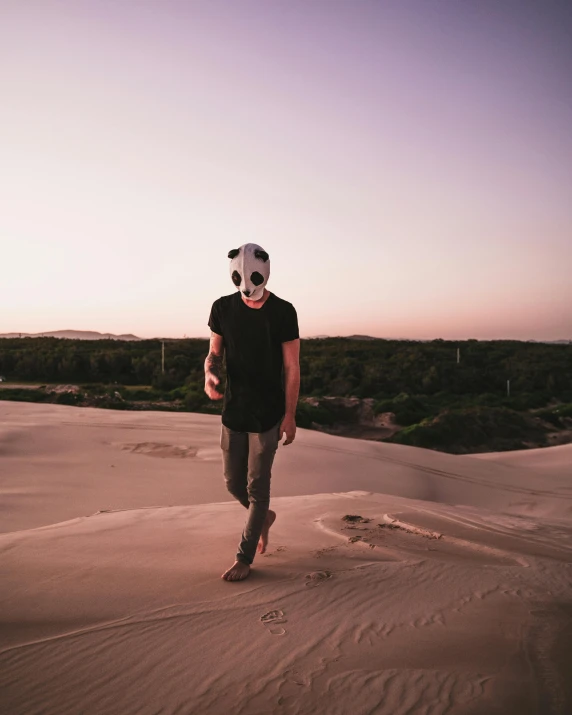 a man wearing a panda mask in the desert, by Jessie Alexandra Dick, pexels contest winner, australian beach, non-binary, late evening, wearing pants and a t-shirt
