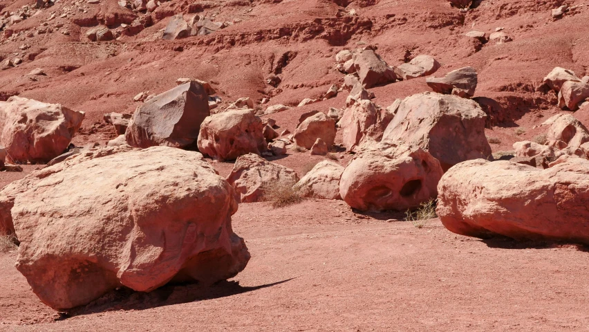 a group of large rocks sitting on top of a dirt field, by Pamela Ascherson, unsplash, land art, red sandstone natural sculptures, red planetoid exploding, red and white colors, slide show