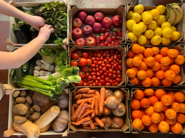 a box filled with lots of different types of fruits and vegetables, hands on counter, 6 pack, ignant, 1 6 x 1 6