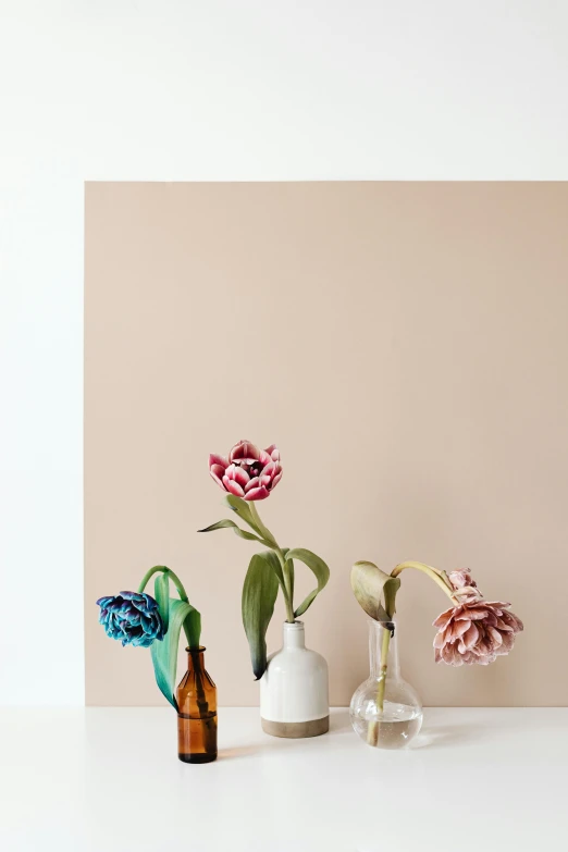 three vases with flowers in them on a table, poster art, by Andries Stock, trending on unsplash, wall mural, tulip, beige color scheme, full view blank background