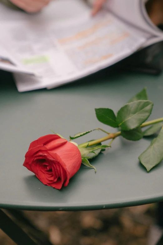 a red rose sitting on top of a green table, newspaper, on display, laying down, over the shoulder