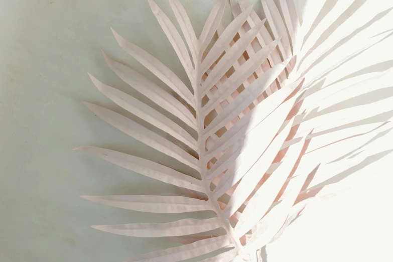 a close up of a palm leaf on a wall, an abstract sculpture, by Helen Stevenson, light pink, ((pink)), large tall