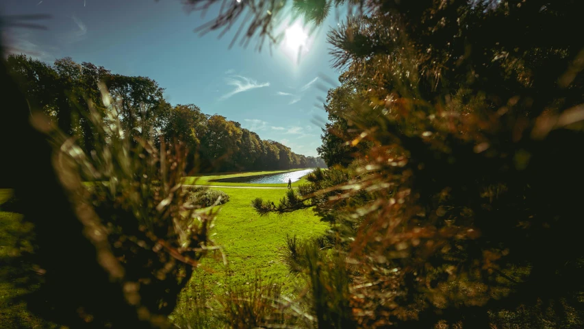 a view of a golf course through a pine tree, by Sebastian Spreng, unsplash contest winner, land art, sunny day in a park, scenic view of river, forest plains of yorkshire, grassy autumn park outdoor