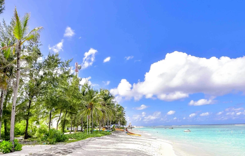 a sandy beach lined with palm trees next to the ocean, hurufiyya, listing image, highlights, whitewashed buildings, skies