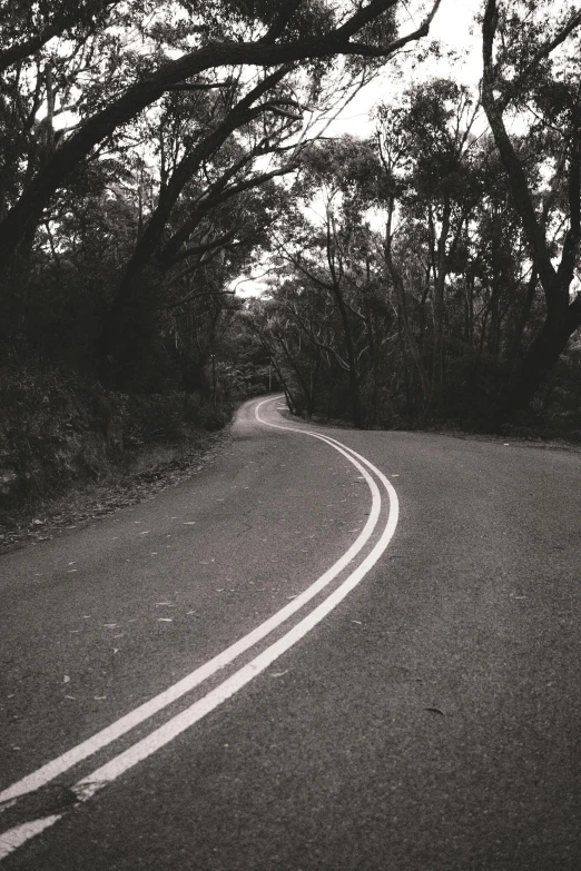 a black and white photo of a winding road, unsplash, australian tonalism, 1990s photograph, medium format, ( ( photograph ) ), album