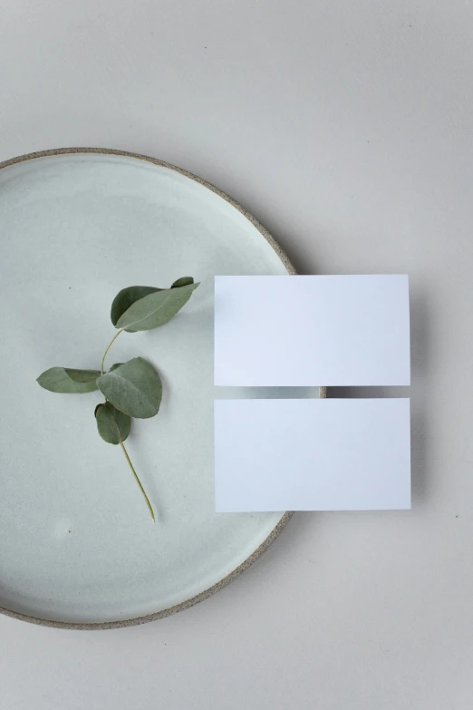 a green leaf sitting on top of a white plate, inspired by Agnes Martin, unsplash, pair of keycards on table, made of all white ceramic tiles, white and pale blue, eucalyptus