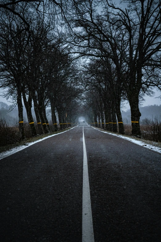 a road with trees on both sides and snow on the ground, by Adam Szentpétery, pexels contest winner, renaissance, foreboding background, crime scene photography, head on, 4 k cinematic photo