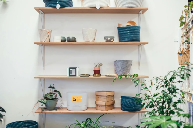 a shelf filled with lots of potted plants, trending on unsplash, minimalism, cloth accessories, dwell, sustainable materials, blue accents