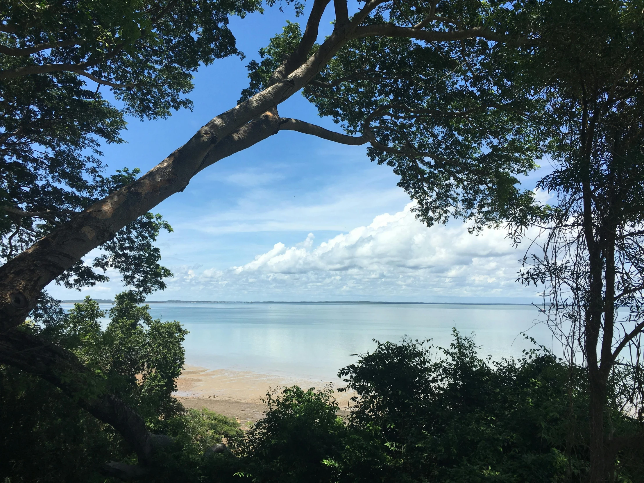 a view of the ocean through some trees, by Rachel Reckitt, hurufiyya, madagascar, beautiful tranquil day, instagram post, skies behind