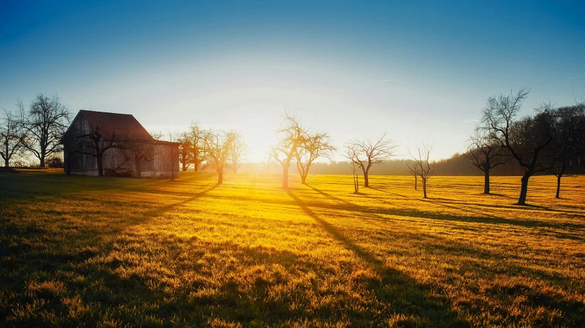 a house sitting on top of a lush green field, pexels contest winner, post-impressionism, at sunrise in springtime, shades of gold display naturally, beams of sunlight, laying under a tree on a farm