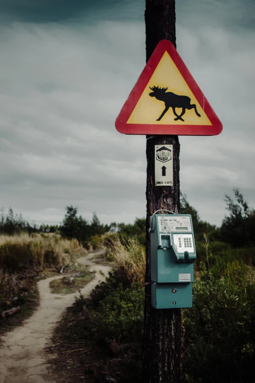 a sign on a telephone pole on a dirt road, by Simon Stålenhag, unsplash, moose, tourist photo, switch, near the sea