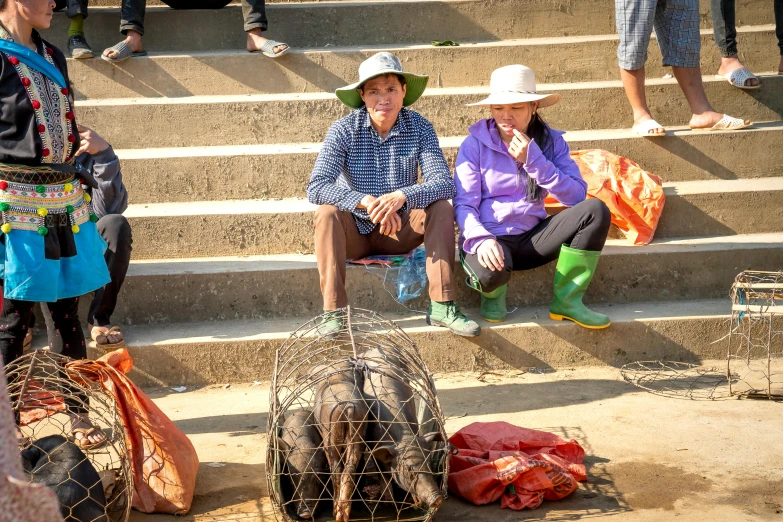 a group of people sitting on the steps of a building, man bear pig, fish seafood markets, nature photo, fan favorite