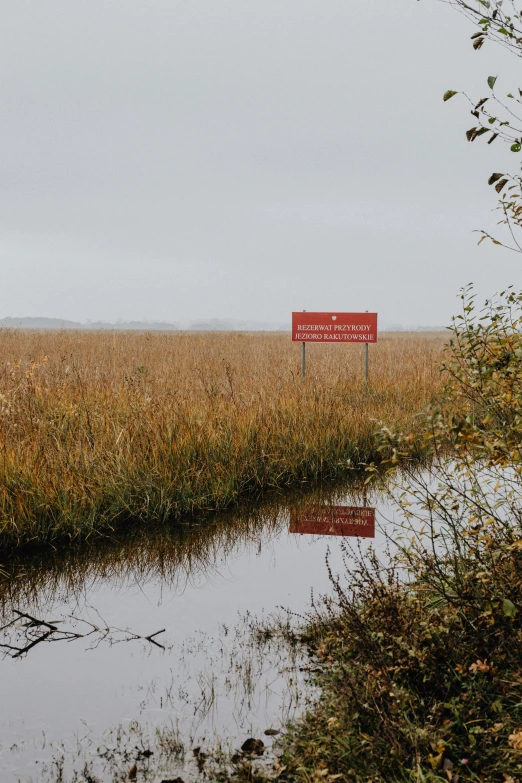 a red sign sitting on the side of a river, unsplash, land art, marshes, slight overcast, during autumn, stålenhag