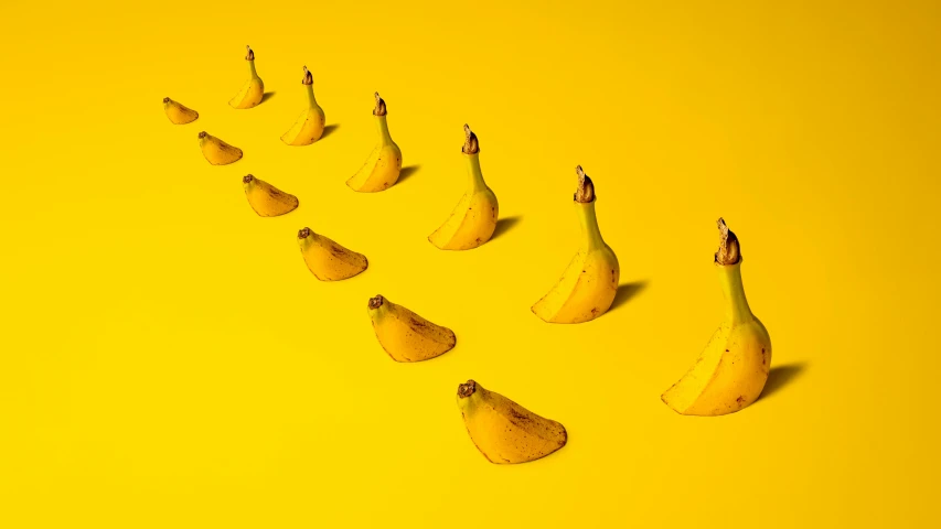 a group of bananas sitting on top of a yellow surface, behance lemanoosh, in a row, surreal design, pears