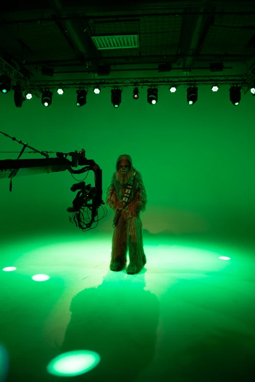 a man standing in front of a green screen, inspired by George Lucas, chewbacca, stage lighting, showstudio, on the runway