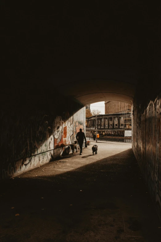 a person walking through a tunnel with a dog, a photo, by Sebastian Spreng, unsplash contest winner, graffiti, late afternoon light, two dogs, in the middle of the city, low quality photo