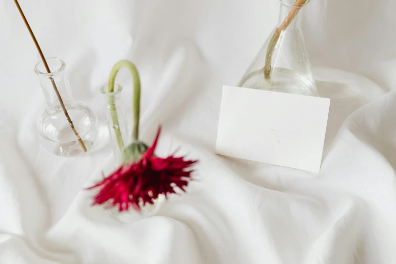 a couple of vases sitting on top of a bed, white cloth, background image, magical notes, red flower