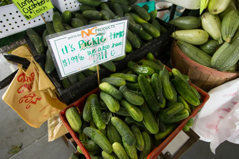 a display of cucumbers for sale at a farmer's market, by Everett Warner, pexels, subtitles, thumbnail, 1 6 x 1 6, lulu chen