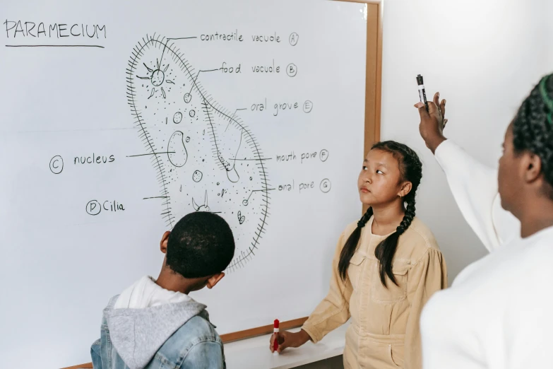 a group of people standing in front of a whiteboard, a child's drawing, by Adam Marczyński, pexels contest winner, medical dissection, math inspired, is being drawn into a blackhole, alana fletcher