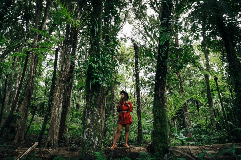 a woman standing on a log in the middle of a forest, sumatraism, avatar image