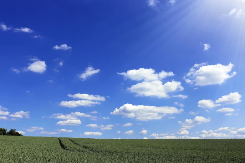 a field of green grass under a blue sky, by David Simpson, pexels, global illumination hdri, screensaver, panoramic, sun overhead