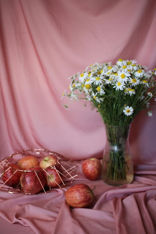 a vase of daisies and apples on a pink cloth, shutterstock contest winner, studio photoshoot, 🎀 🧟 🍓 🧚, centerpiece, sweet looks