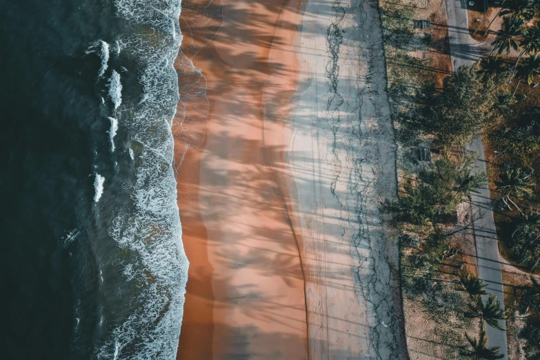 an aerial view of a beach with palm trees, by Eglon van der Neer, unsplash contest winner, photorealism, flowing salmon-colored silk, reflected light, “ iron bark, light and dark