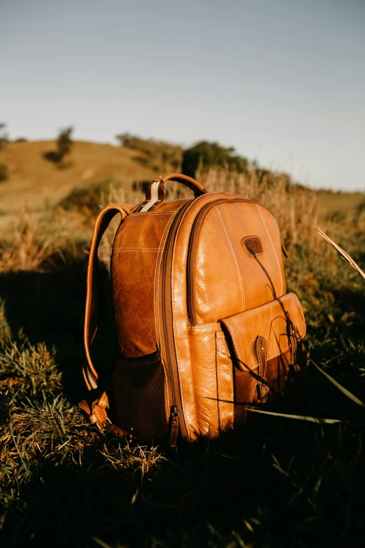 a brown backpack sitting on top of a grass covered field, inspired by Henry O. Tanner, renaissance, caramel. rugged, manuka, with backdrop of natural light, leathery