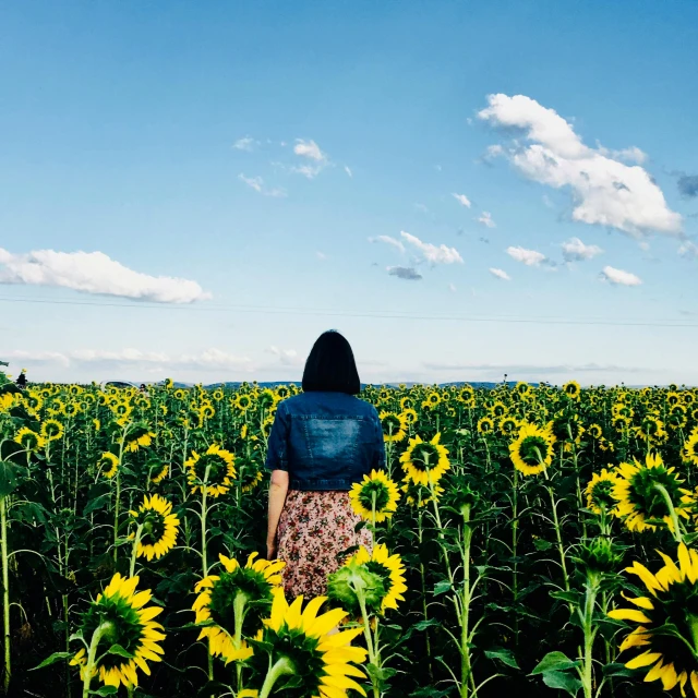 a woman standing in a field of sunflowers, pexels contest winner, facing away, nanae kawahara, annie liebowitz, large scale photo