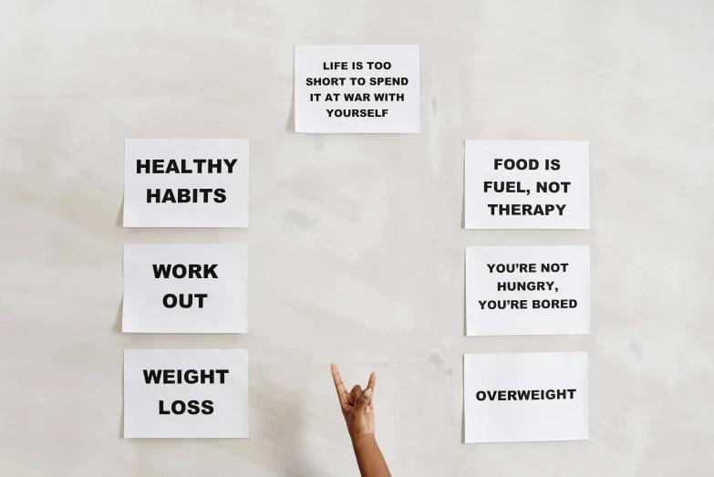 a person standing in front of a wall with signs on it, a poster, by Nina Hamnett, trending on pexels, postminimalism, health bar hud, loss of control, white bg, ffffound