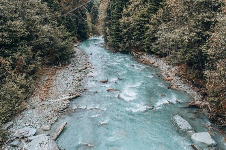 a river running through a forest filled with trees, by Alexander Brook, pexels contest winner, hurufiyya, turqouise, chamonix, 2 5 6 x 2 5 6 pixels, high quality photo