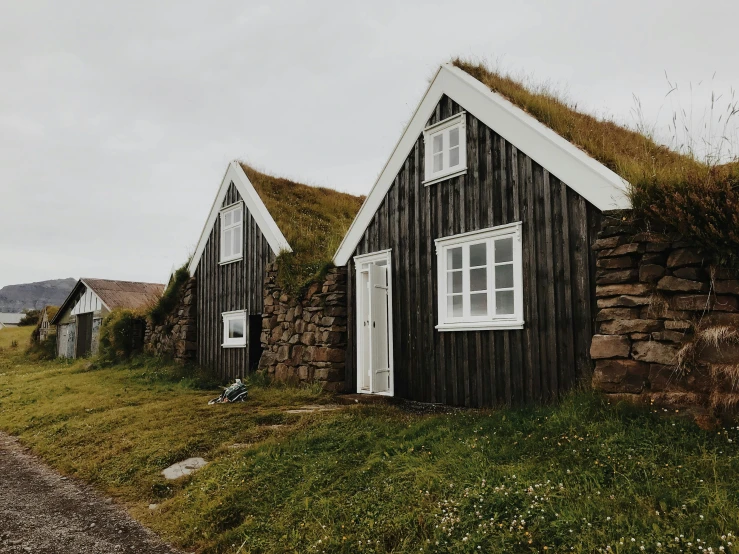 a couple of houses sitting on the side of a road, by Hallsteinn Sigurðsson, pexels contest winner, renaissance, grassy stones, old cabin, background image, 1970s photo