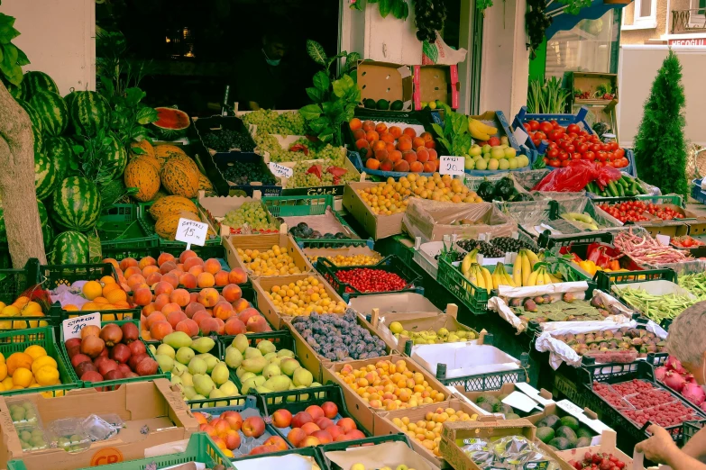 a woman standing in front of a fruit stand, pexels, renaissance, avatar image, square, panoramic shot, market in ancient rome