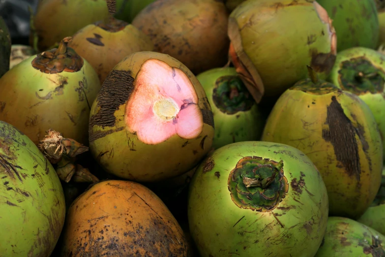 a pile of green coconuts sitting on top of each other, by Emma Andijewska, pexels, hurufiyya, square, jamaica, soup, thumbnail