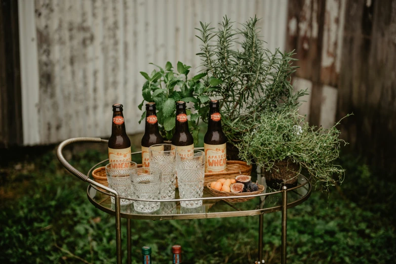 a table topped with bottles of beer next to a potted plant, by Julia Pishtar, ivory and copper, high quality product photo, cart, iced tea glass