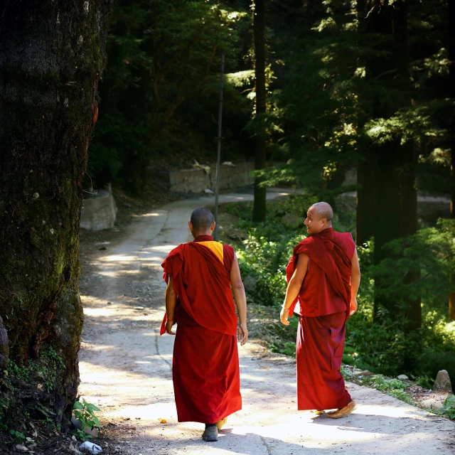two monks walking down a path in the woods, pexels contest winner, young himalayan woman, red robes, india, in the sun