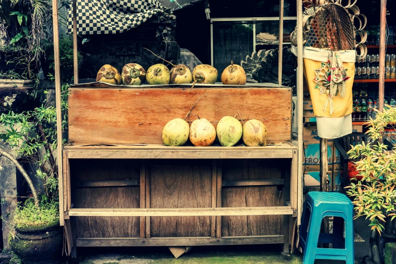 a fruit stand with a variety of fruits on it, by Elsa Bleda, unsplash, renaissance, coconuts, square, damaged, retro stylised