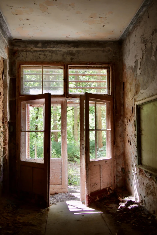 an open door in a run down building, by Maria van Oosterwijk, visual art, ancient ruins in the forest, ceiling to floor windows, photograph taken in 2 0 2 0, summertime