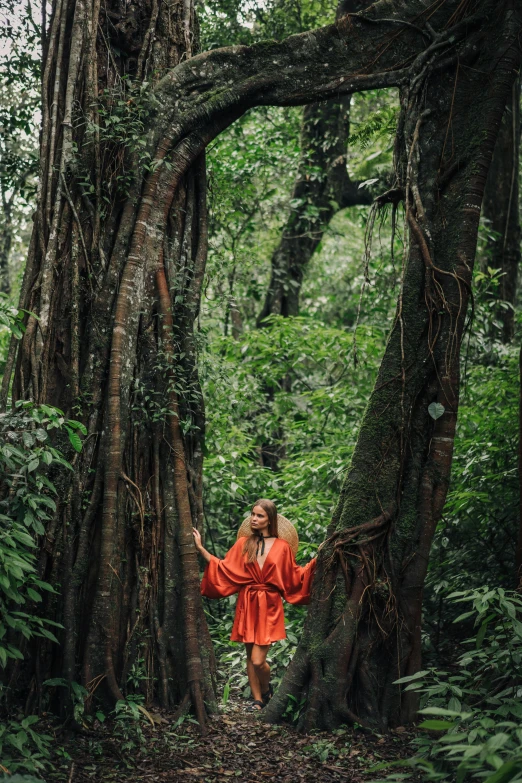 a woman in a red dress walking through a forest, inspired by Steve McCurry, sumatraism, orange robe, huge ficus macrophylla, lush greenery, perched in a tree