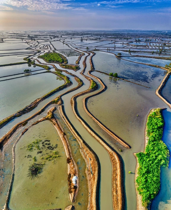 an aerial view of a flooded rice field, inspired by Steve McCurry, unsplash contest winner, land art, wide angle”, guangjian, 2019 trending photo, photography shot at blue hour