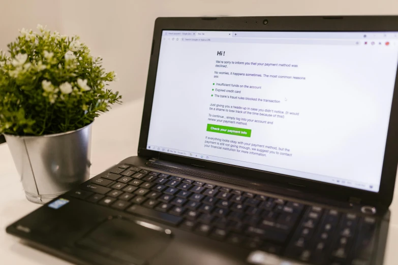 a laptop computer sitting on top of a desk next to a potted plant, by Daniel Lieske, unsplash, black and green scheme, highly detailed rounded forms, close up to the screen, photographed for reuters