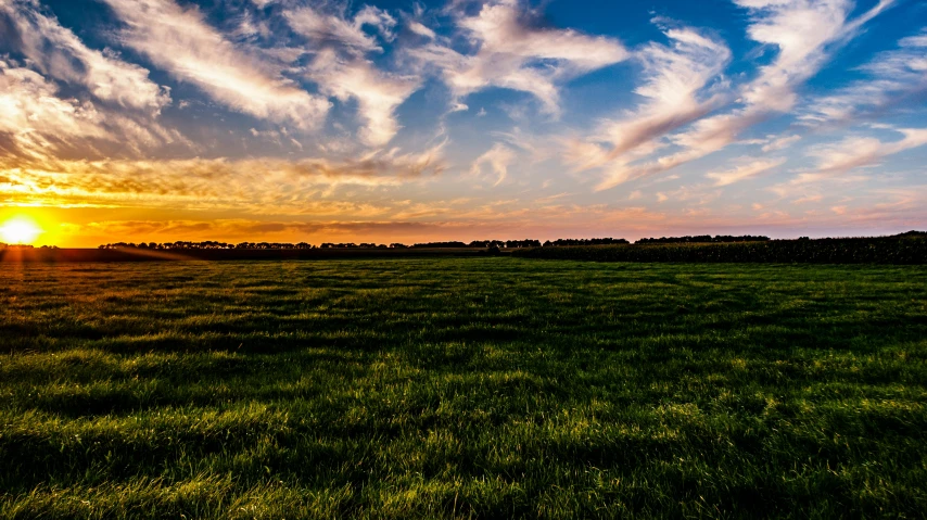 the sun is setting over a grassy field, unsplash, land art, panoramic, farming, vivid sky, high quality image”