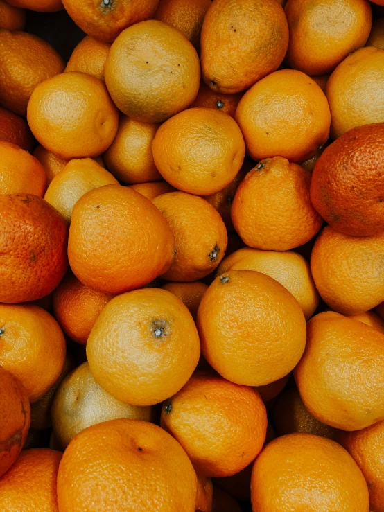 a pile of oranges sitting on top of each other, by Carey Morris, pexels, ultrawide image, 🐿🍸🍋, chilean, thumbnail