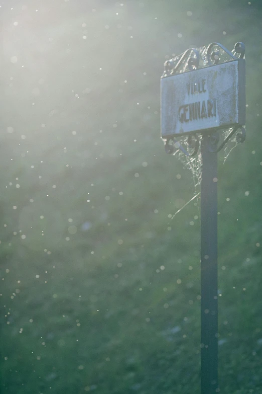 a street sign sitting in the middle of a field, an album cover, by Attila Meszlenyi, unsplash, during a hail storm, light green mist, swarming with insects, ethereal glare of the sun